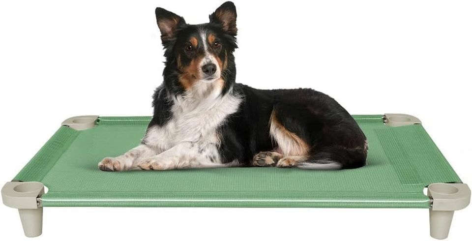 Cooling Elevated Pet Dog Bed Cot, Washable and Breathable Mesh Fabric, Stainless Steel Frame