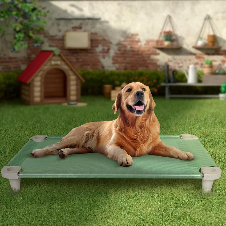 Cooling Elevated Pet Dog Bed Cot, Washable and Breathable Mesh Fabric, Stainless Steel Frame
