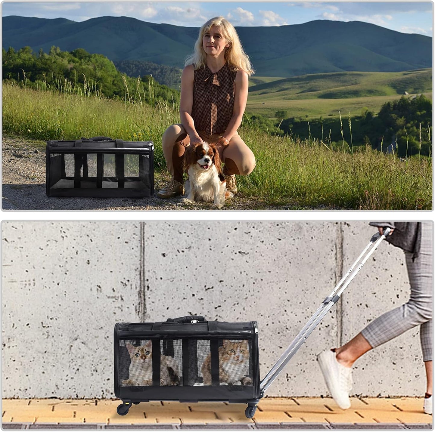 Double-Compartment Pet Rolling Carrier with Wheels for 2 Pets,Cat Rolling Carrier for 2 Cats,Super Ventilated Design,Ideal for Traveling/Hiking/Camping