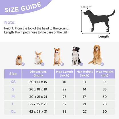 Lesure Collapsible Dog Crate - Portable Dog Travel Crate Kennel for Small Dog