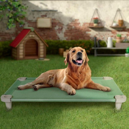 Cooling Elevated Pet Dog Bed Cot, Washable and Breathable Mesh Fabric, Stainless Steel Frame